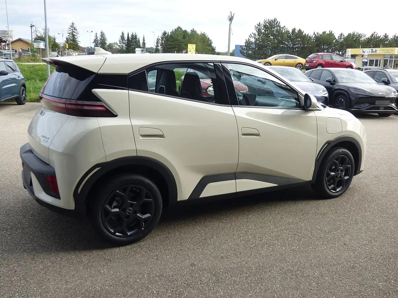 BYD DOLPHIN SURF
