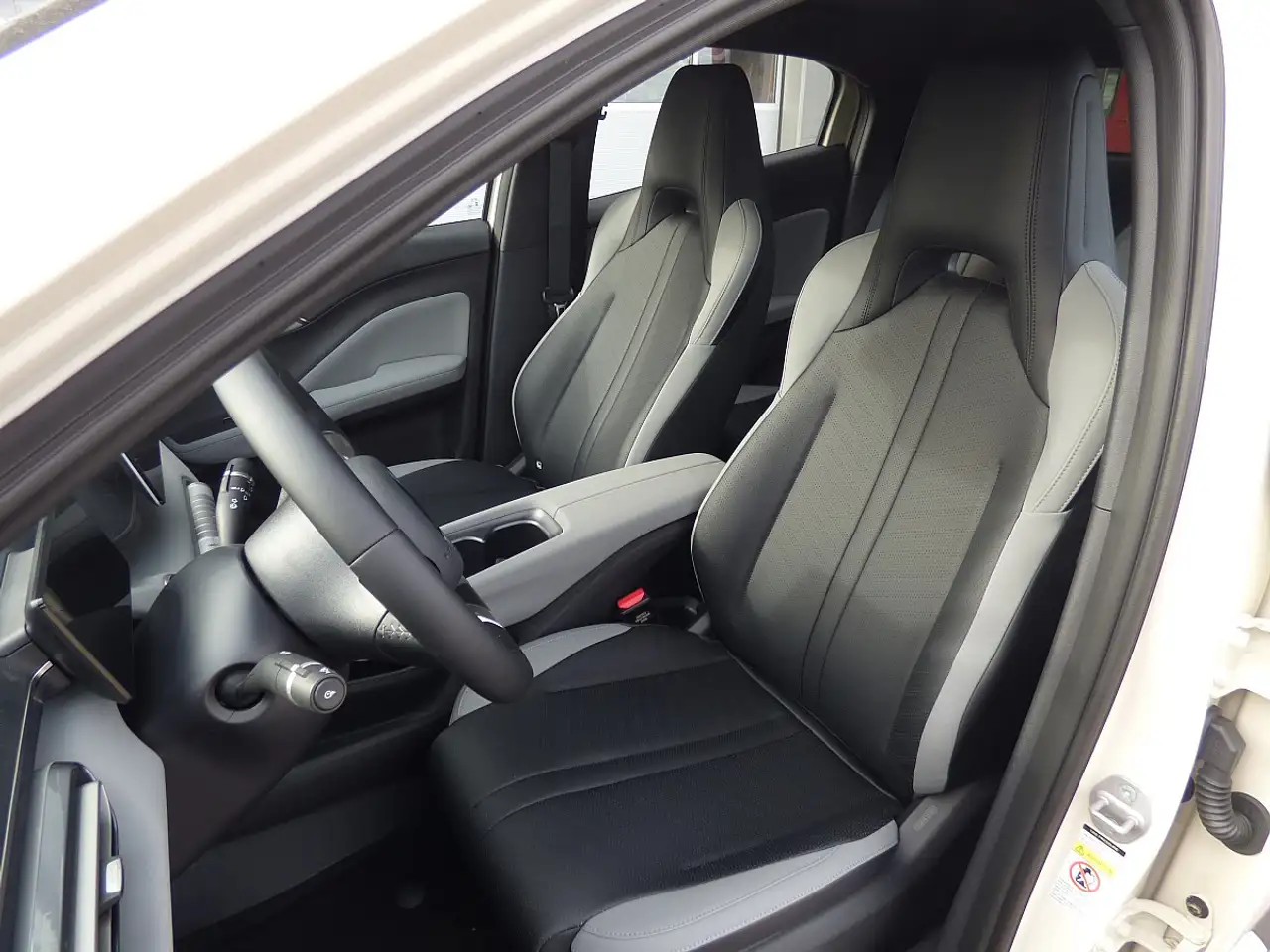 BYD DOLPHIN SURF