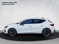 CUPRA Leon 1.5 TSI Weiß - thumbnail 2