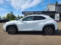 Lexus UX 250h 250H F Sport, Schuifdak, Sportstoelen, Android/App Blanc - thumbnail 10