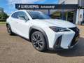 Lexus UX 250h 250H F Sport, Schuifdak, Sportstoelen, Android/App Blanc - thumbnail 18