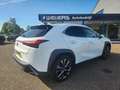 Lexus UX 250h 250H F Sport, Schuifdak, Sportstoelen, Android/App Blanc - thumbnail 2