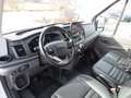 Ford Transit 350 L3H2 2.0 EcoBlue Trail- ACC|SHZ|AHK Weiß - thumbnail 28