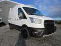 Ford Transit 350 L3H2 2.0 EcoBlue Trail- ACC|SHZ|AHK Weiß - thumbnail 3