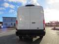 Ford Transit 350 L3H2 2.0 EcoBlue Trail- ACC|SHZ|AHK Weiß - thumbnail 6
