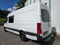 Mercedes-Benz Sprinter 317 III 9G Mixto Maxi L3H2 AHK 6 Sitzer UVP79T€ Wit - thumbnail 2