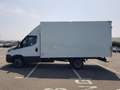 Iveco Daily 35C 14 4100 - thumbnail 4