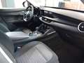 Alfa Romeo Stelvio 2.2 Turbodiesel 190 CV AT8 Q4 Business PROMO!!! Rood - thumbnail 11