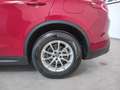 Alfa Romeo Stelvio 2.2 Turbodiesel 190 CV AT8 Q4 Business PROMO!!! Rot - thumbnail 6