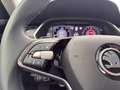 Skoda Octavia Combi 1.5 TSI mHEV_Selection_AHK_Frontscheibenh. Schwarz - thumbnail 31