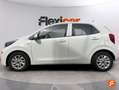 Kia Picanto 1.0 CVVT 49kW (67CV) Concept Blanco - thumbnail 11