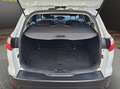 Ford Focus Titanium*HU 12.26*Parkpilot*Winterreifen*Tempomat* Blanc - thumbnail 17