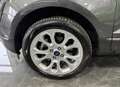 Ford EcoSport 1.0 Ecoboost 125 Titanium - TELECAMERA - ADAS Grigio - thumbnail 7