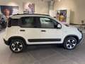 Fiat Panda 1.0 firefly hybrid Cross 70cv CON ROTTAMAZIONE Bianco - thumbnail 5