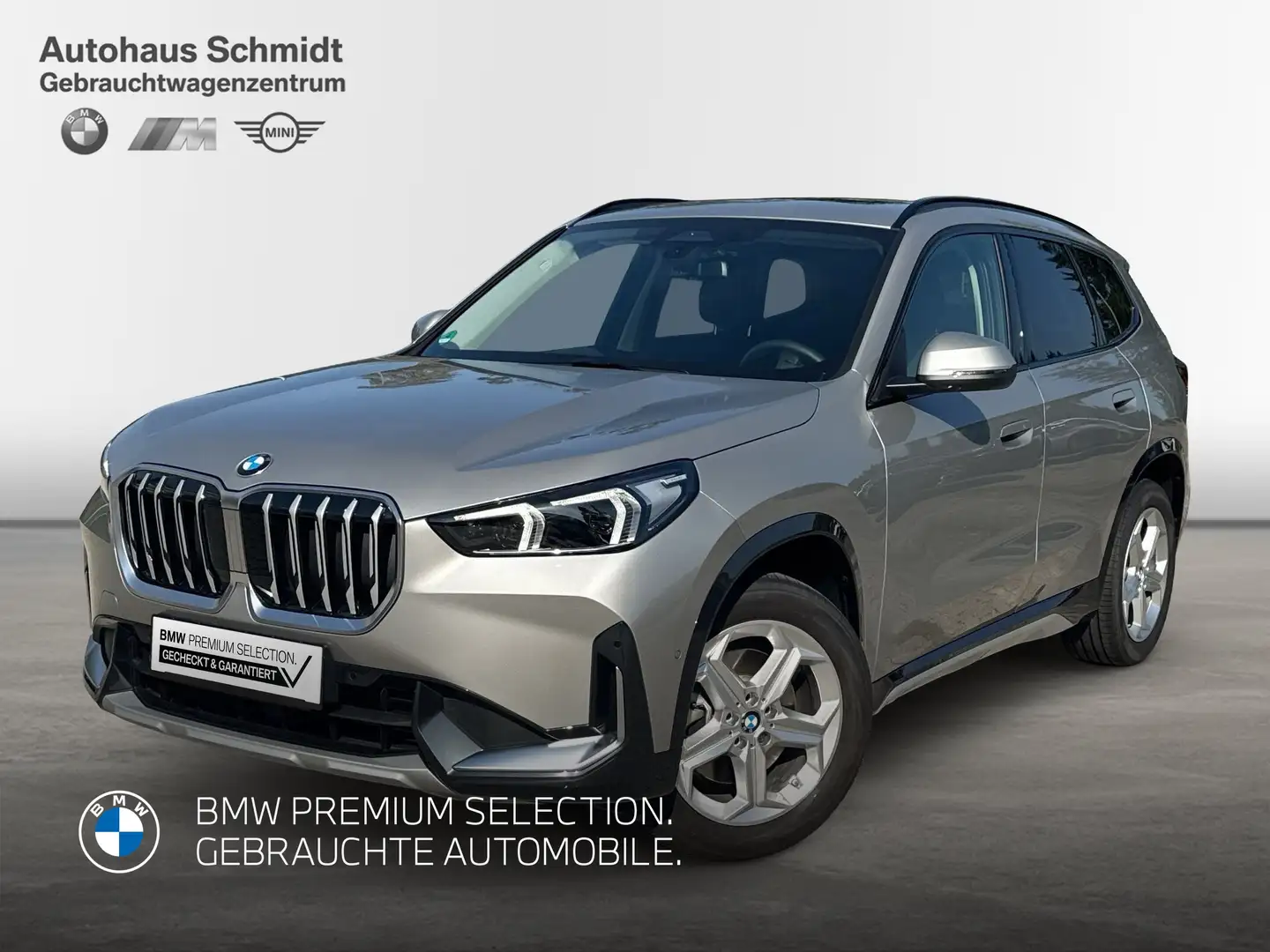 BMW X1 sDrive20i xLine*AHK*HK HiFi*DAB*Adapt. LED*Pano*Dr Silber - 1