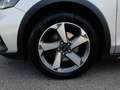 Ford Focus Turnier Active X 1,5 EcoBlue Aut. *LED / NAVI /... Silber - thumbnail 15