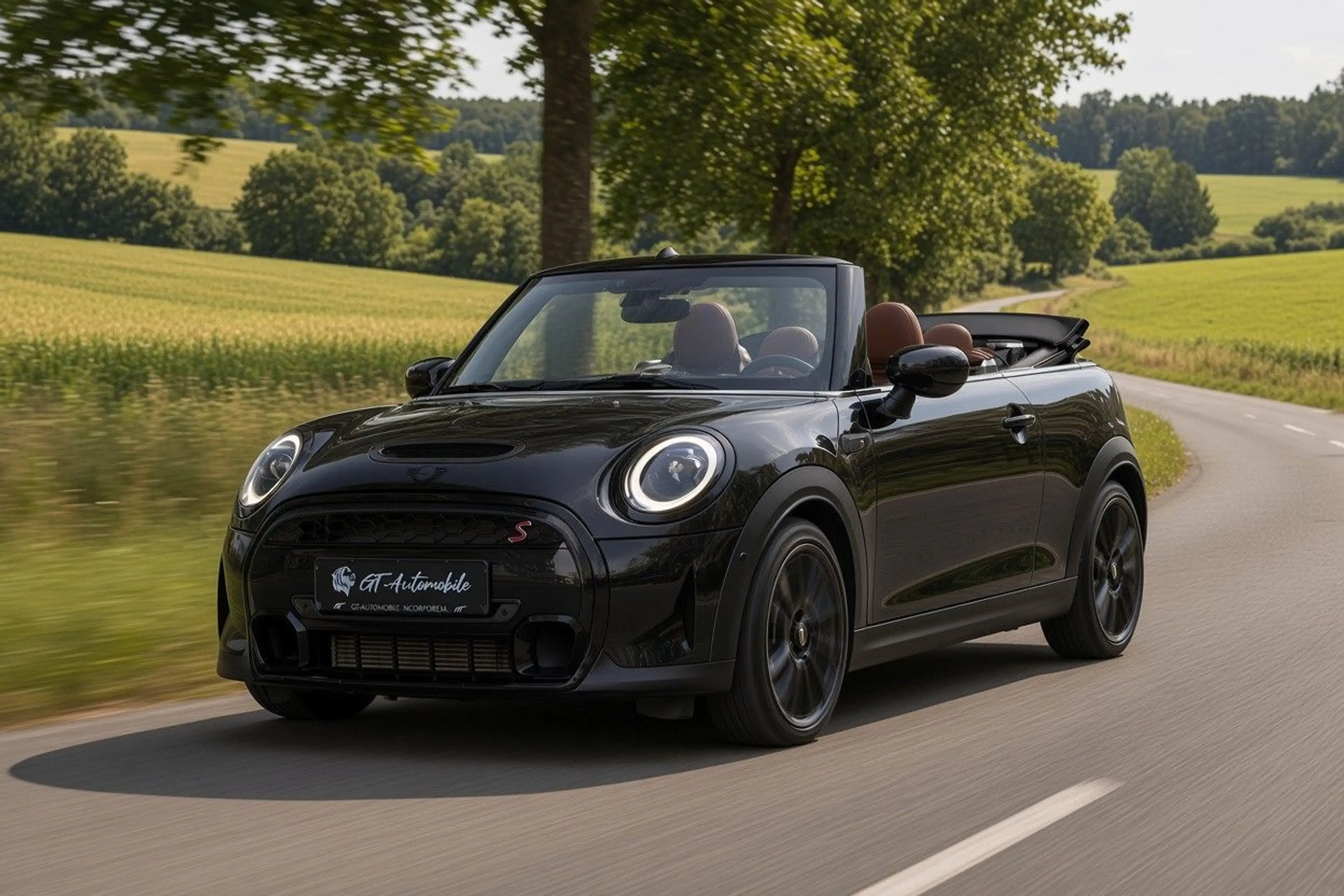 MINI Cooper S Cabrio *HUD*KAM*Leder Chester*h&k*U-FREI