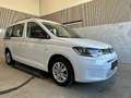 Volkswagen Caddy Maxi 2,0 TDI Life Anhängevorrichtung abnehmbar,... Weiß - thumbnail 5