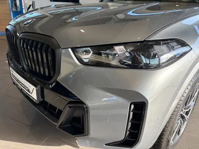 BMW X5 view 9