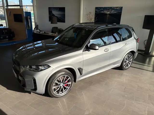 BMW X5 view 30