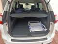 Ford Grand C-Max Grand C-Max 2.0TDCi Titanium Powershift Titanium Blanco - thumbnail 19
