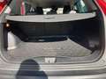 Kia Sportage 1,6 CRDI 48V Launch Edition Rot - thumbnail 6