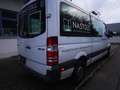 Mercedes-Benz Sprinter 315 CDI 906.731 Weiß - thumbnail 5