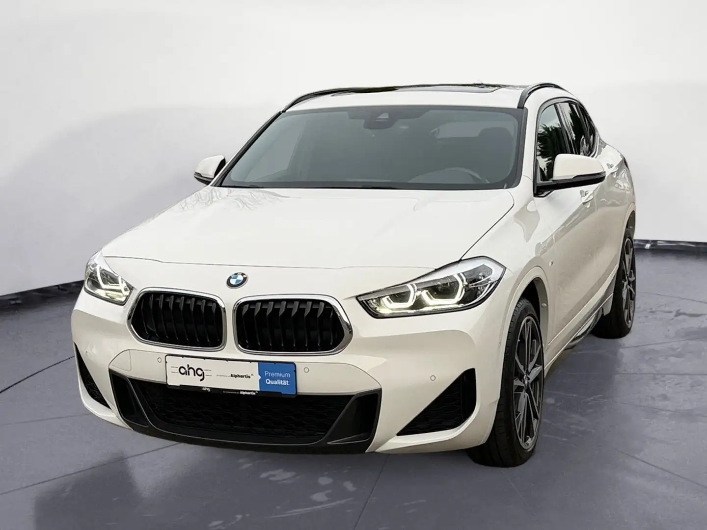 BMW X2 xDrive20i M Sport Navi Klima PDC Kamera Panor Weiß - 1