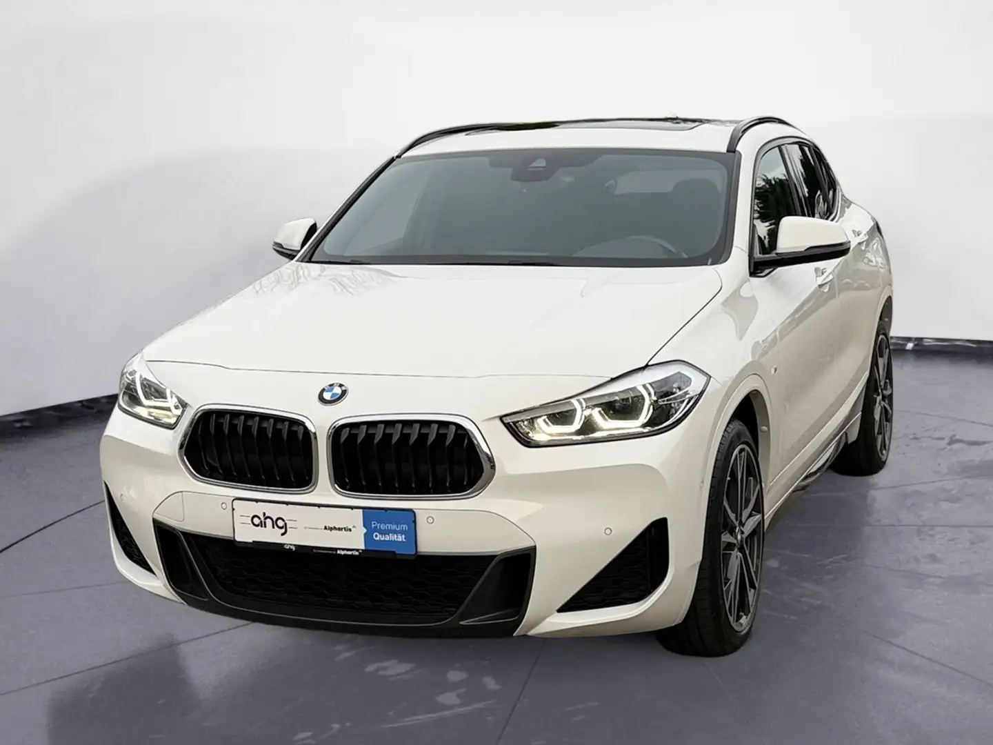 BMW X2 xDrive20i M Sport Navi Klima PDC Kamera Panor Weiß - 1