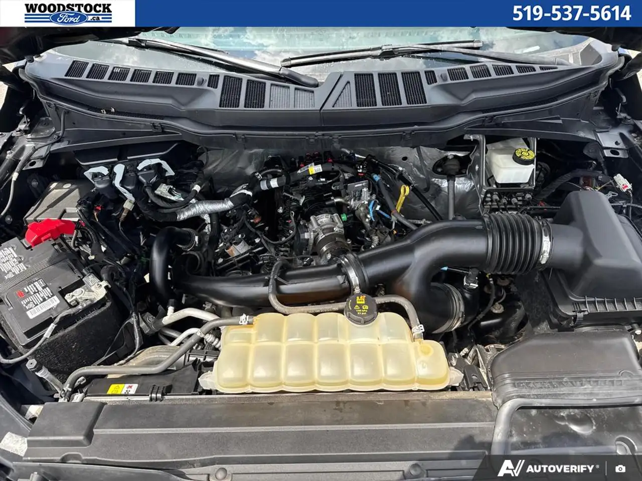 Ford F 150 fotografie Ford F 150