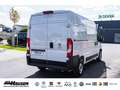 Fiat Ducato Kasten 35 L2H2 140 MJT  SOFORT TECHNO CITY Weiß - thumbnail 4