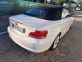 BMW 118 118d Cabrio 2.0 Attiva 143cv - thumbnail 3