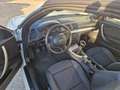 BMW 118 118d Cabrio 2.0 Attiva 143cv - thumbnail 5