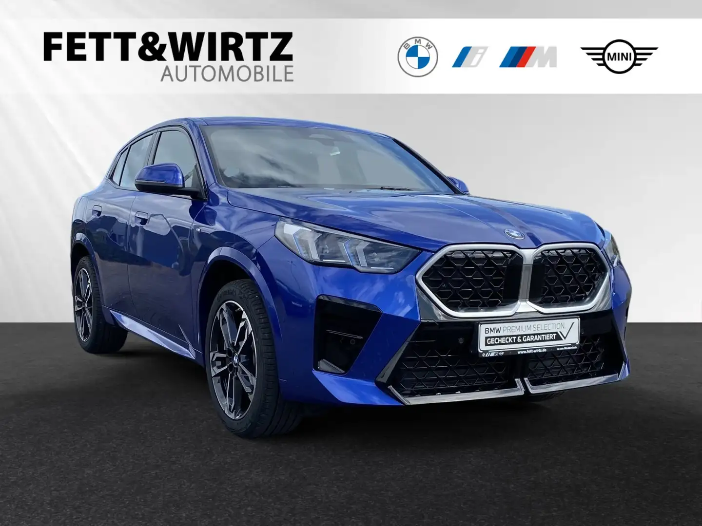 BMW X2 sDrive20i M Sport|Driving&ParkingAss.|19"LMR Blau - 1