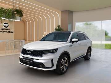 1.6 T-GDI PHEV Plat AWD AT Led GD AHK
