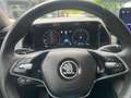 Skoda Kodiaq Kodiaq 2,0 TDI 4x4 Selection DSG Selection Blau - thumbnail 12