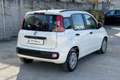 Fiat Panda Panda 1.2 Easy Blanc - thumbnail 5