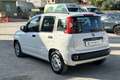 Fiat Panda Panda 1.2 Easy Blanc - thumbnail 7