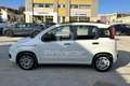 Fiat Panda Panda 1.2 Easy Blanc - thumbnail 8