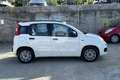Fiat Panda Panda 1.2 Easy Blanc - thumbnail 4