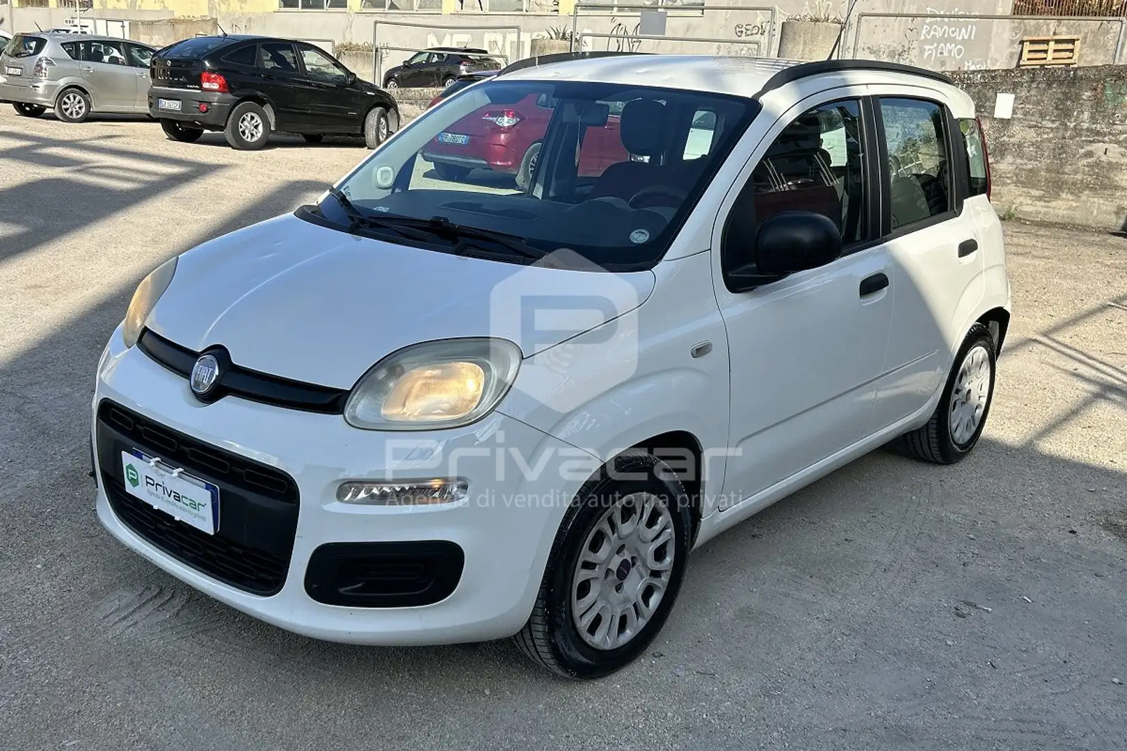 Fiat Panda Panda 1.2 Easy Blanc - 1