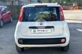 Fiat Panda Panda 1.2 Easy Blanc - thumbnail 6