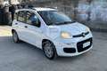 Fiat Panda Panda 1.2 Easy Blanc - thumbnail 3