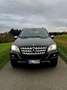 Mercedes-Benz ML 320 ML 320 CDI (164.122) Schwarz - thumbnail 1