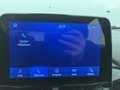 Ford Flex 1.0 Flexifuel 125ch S\u0026S mHEV Titanium Business Grau - thumbnail 20