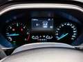 Ford Focus SW 1.5 EcoBlue 120 CV automatico Business - PROMO Bleu - thumbnail 13