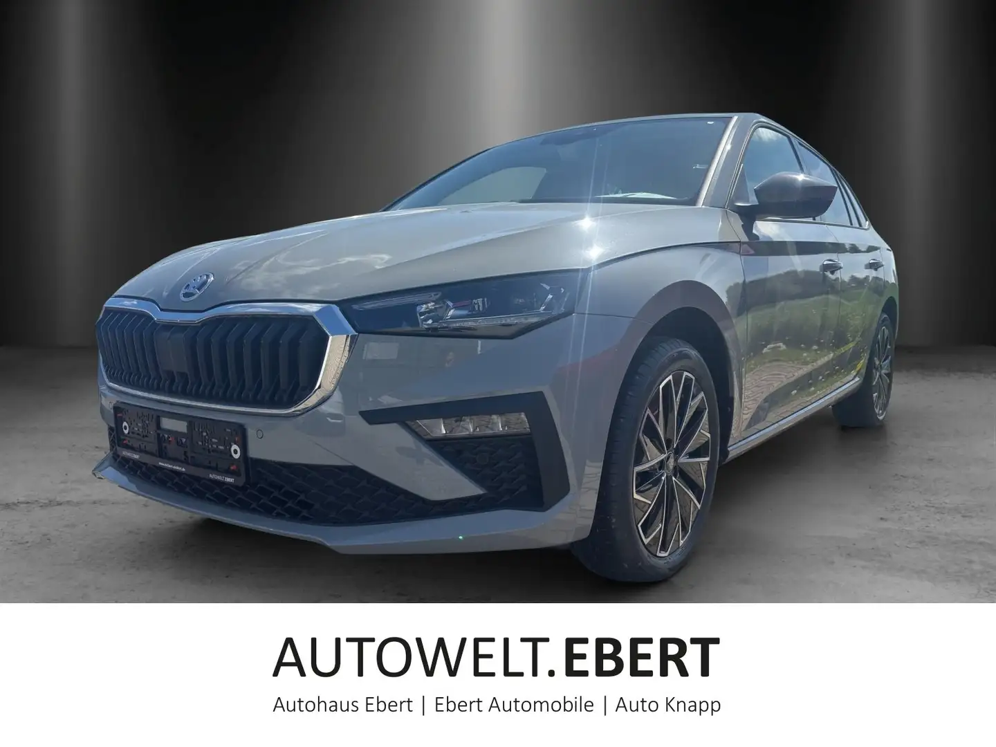 Skoda Scala Tour 1,0 TSI 85 kW DSG Grau - 1