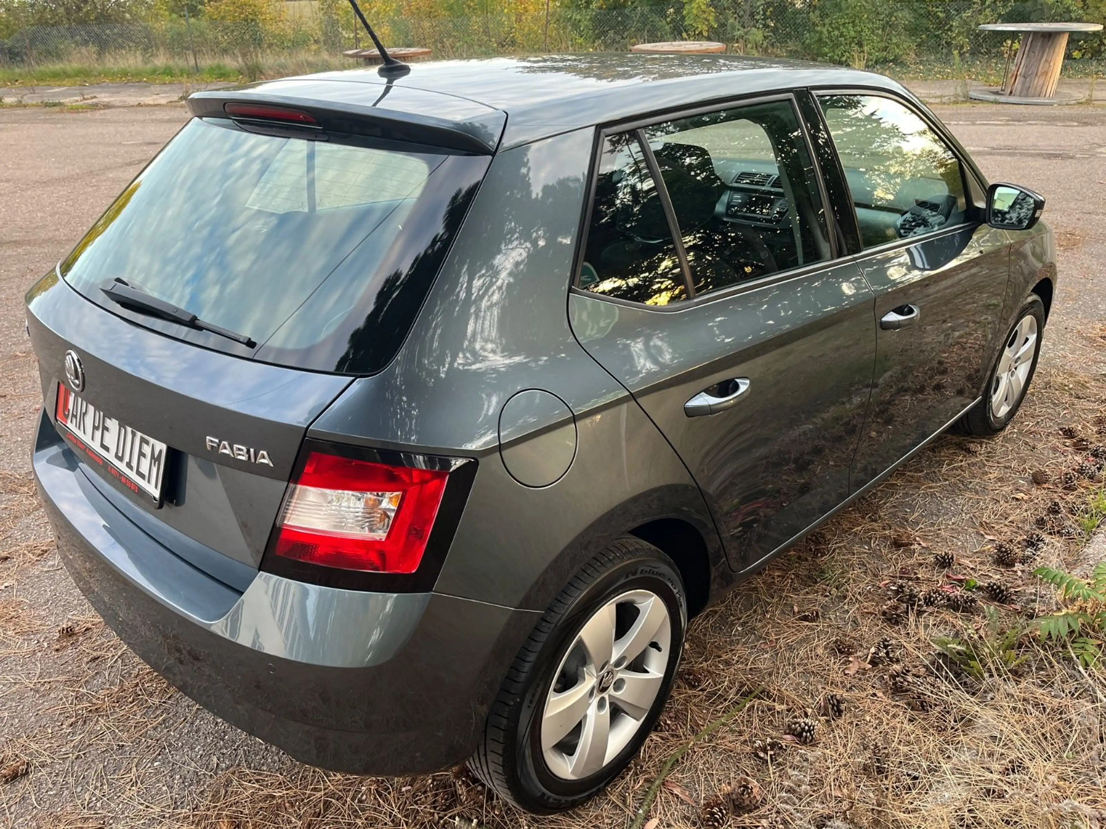 Skoda Fabia Style/Klima/PDC — photo 7