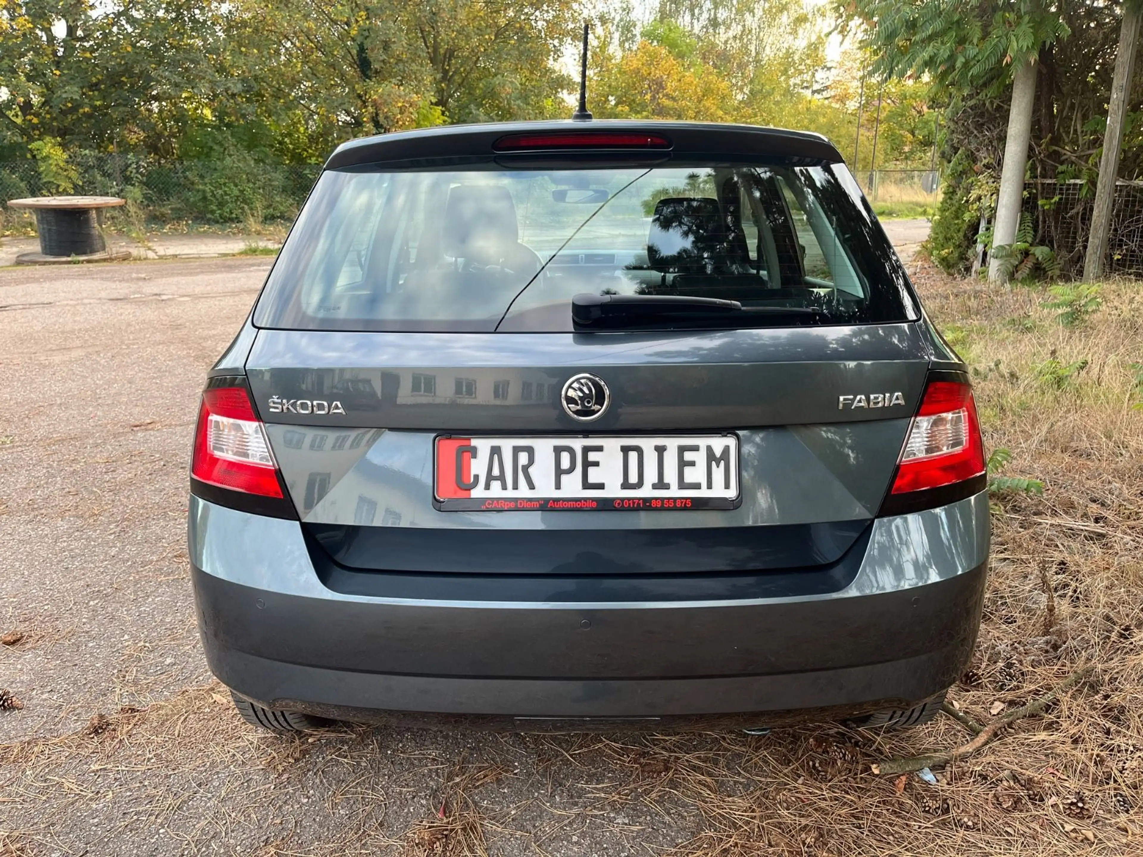 Skoda Fabia Style/Klima/PDC — photo 8