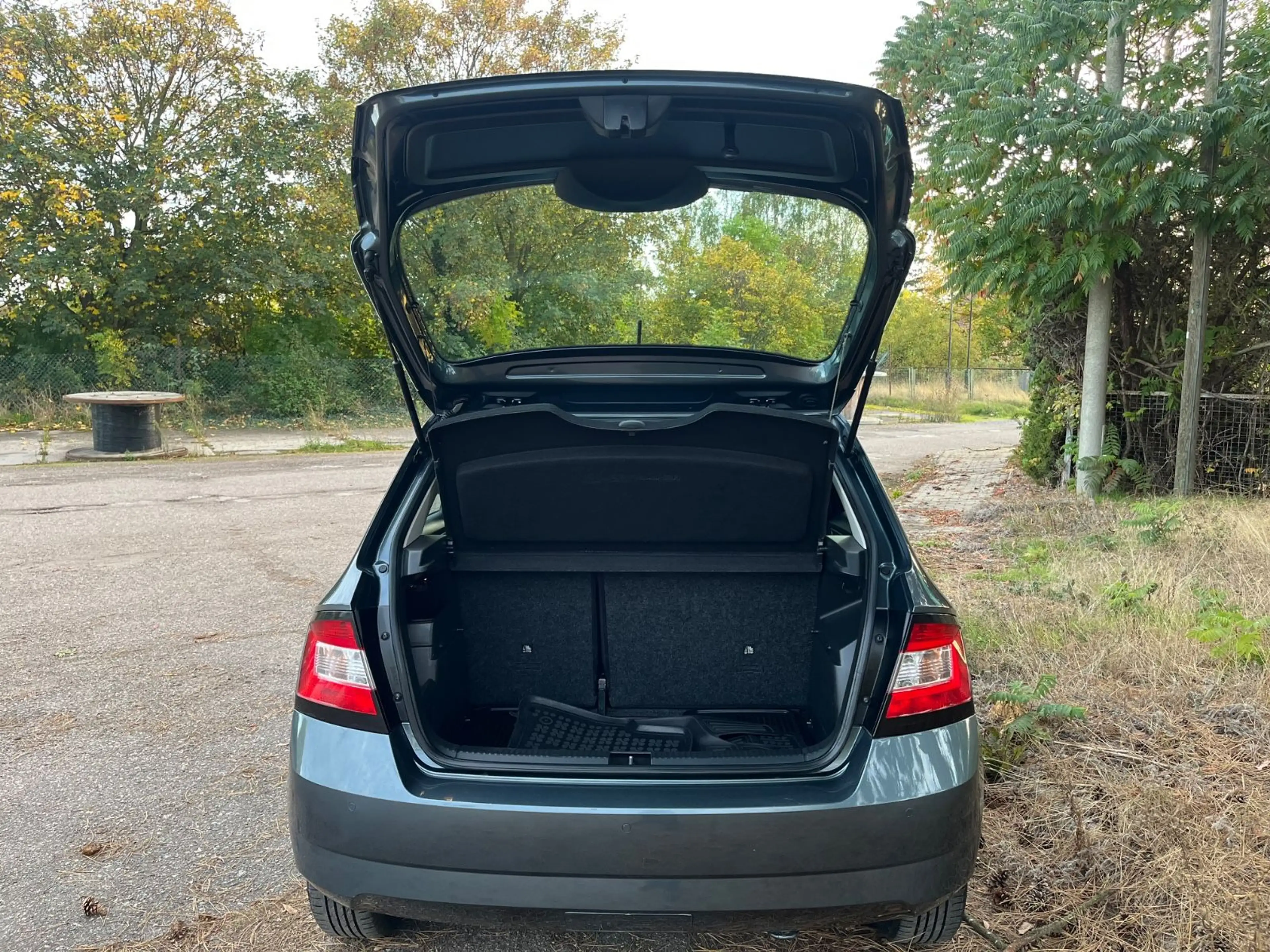 Skoda Fabia Style/Klima/PDC — photo 10